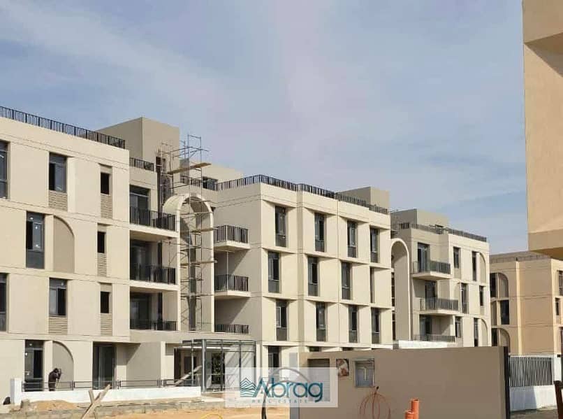 4 WhatsApp Image 2025-10-08 at 2.56. 48 PM (3). jpeg