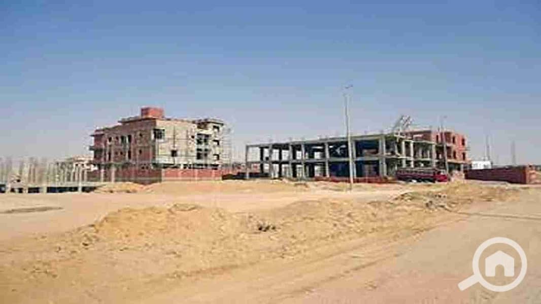 2 1000546800. webp
