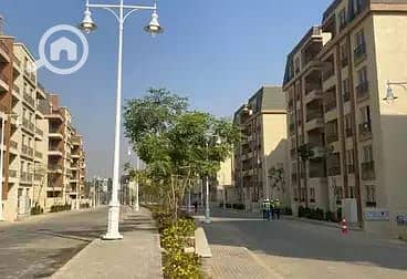 2 WhatsApp Image 2025-10-08 at 15.13. 39_bc0c7c46. jpg