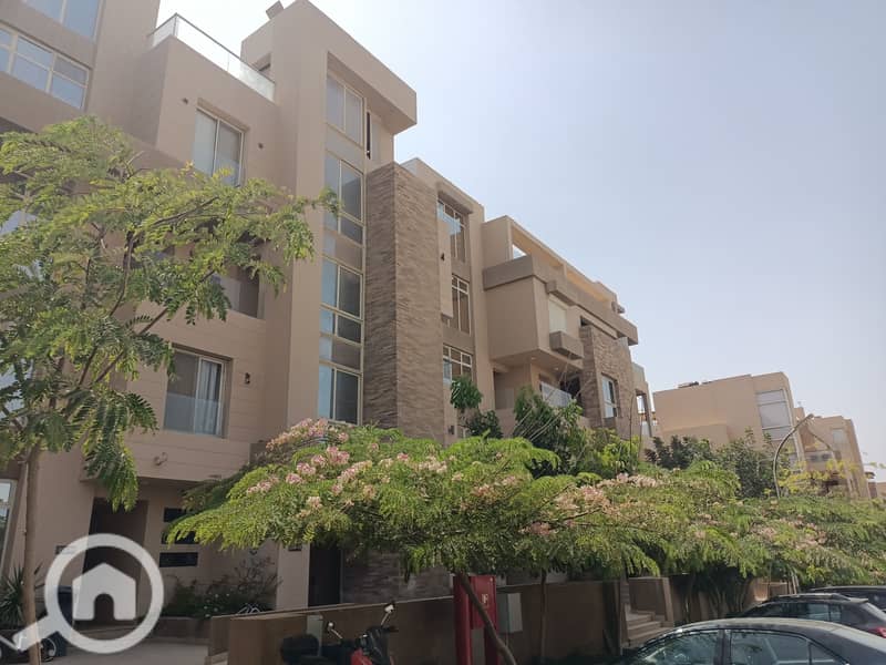 IMG20250729144301. jpg IMG20250729144301. jpg