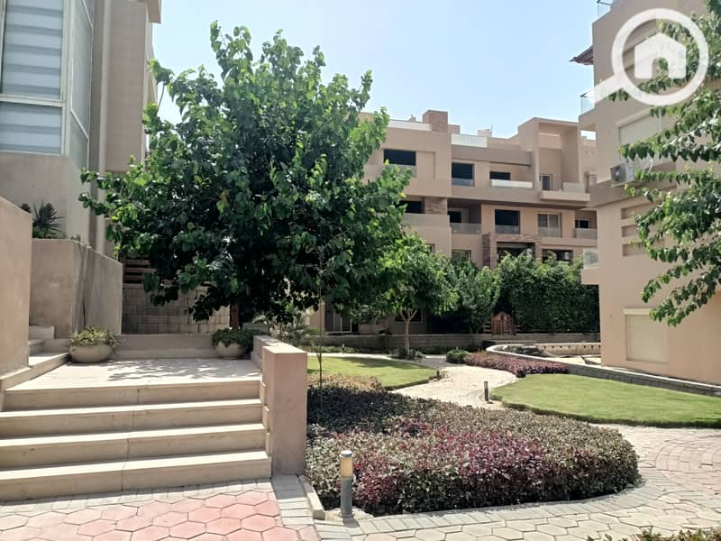 2 IMG20250729144413. jpg