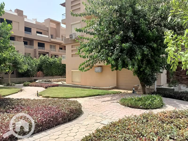 3 IMG20250729144421. jpg