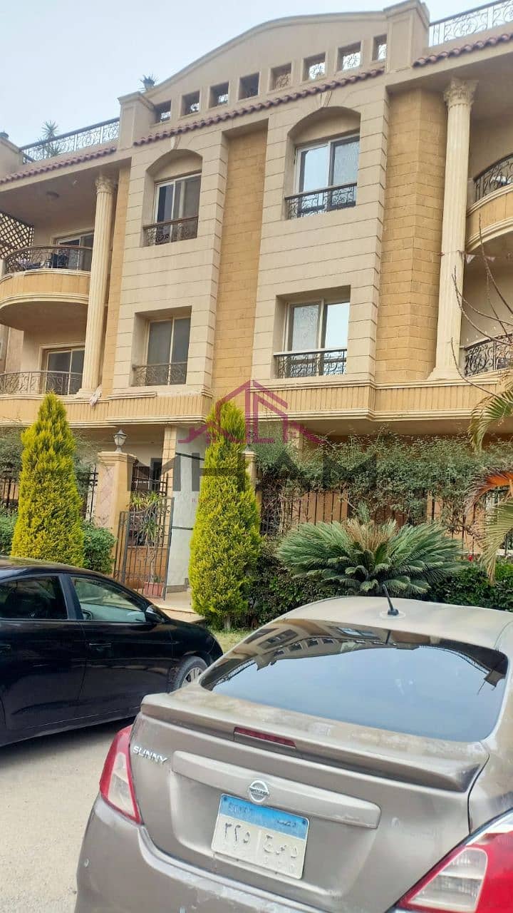 11 photo_5974129140724517794_y. jpg