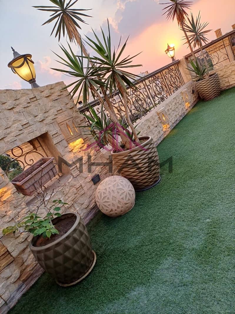 17 photo_5974129140724517800_y. jpg