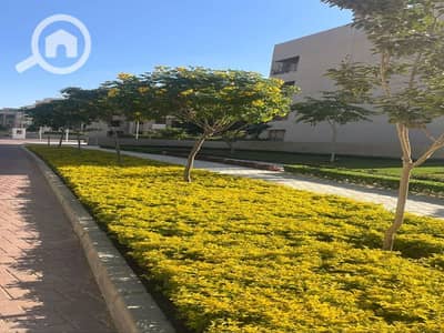 3 Bedroom Apartment for Rent in New Cairo, Cairo - WhatsApp Image 2025-07-09 at 1.57. 19 PM (1)_800x600. jpg