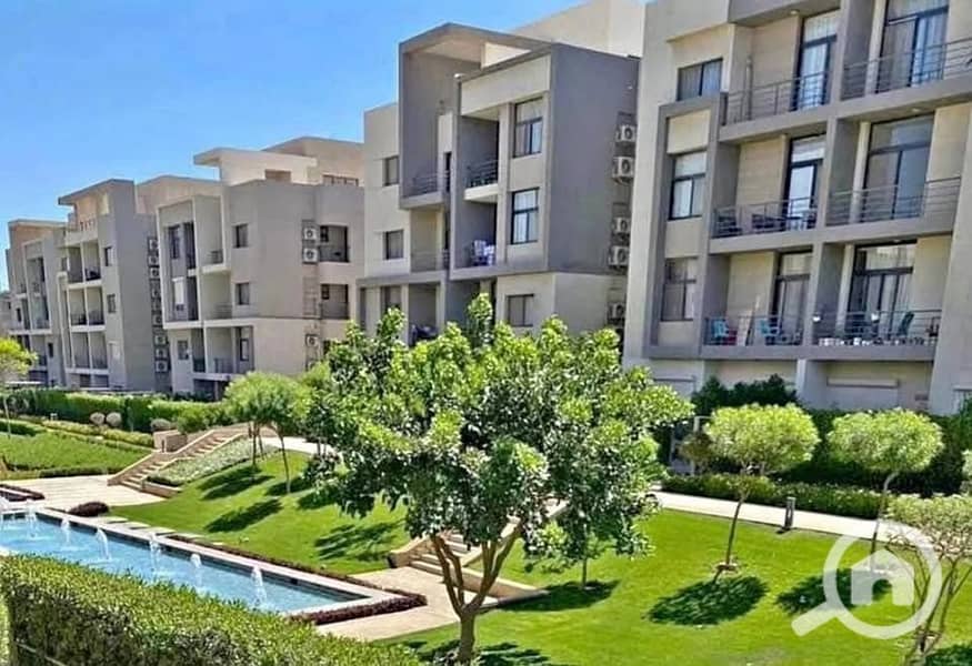 10 557611461_122160164516764430_2147579501119375501_n. jpg