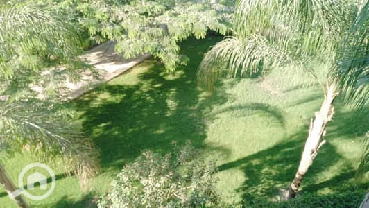 4 Bedroom Apartment for Sale in Madinaty, Cairo - 6a0a23a7-a36a-4625-8296-5ebaf9ff01ae. jpg