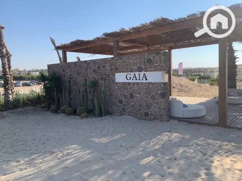 5 WhatsApp Image 2025-09-02 at 5.15. 22 PM. jpeg