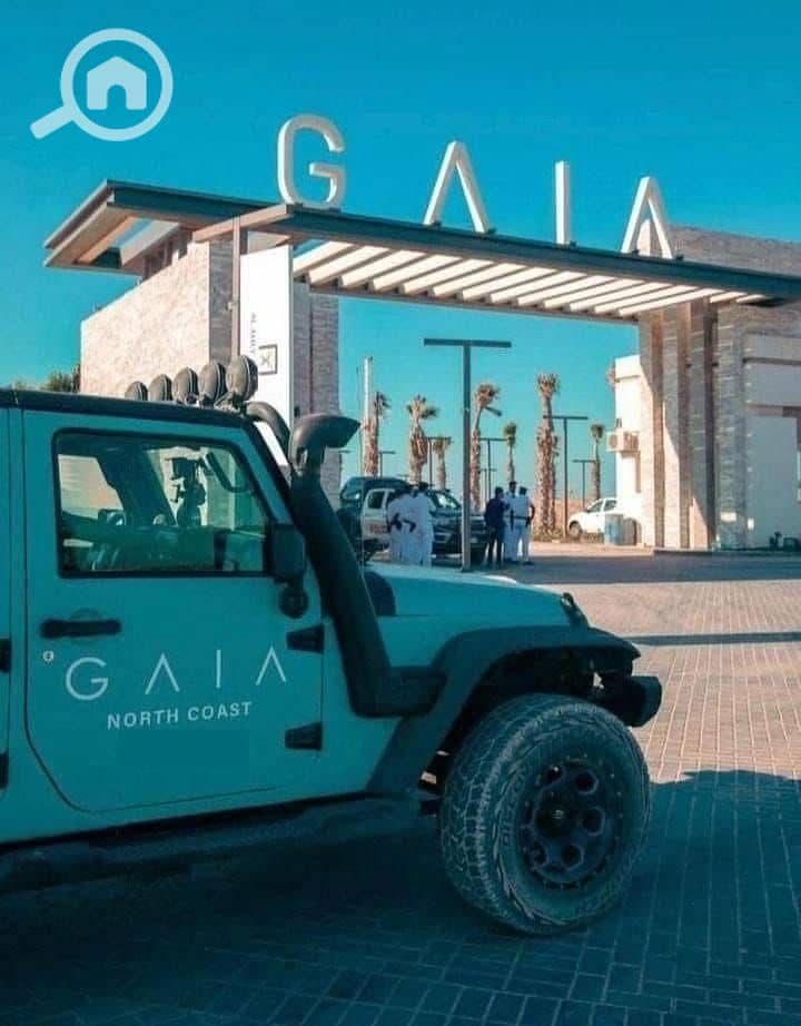 6 WhatsApp Image 2025-09-02 at 5.15. 23 PM (1). jpeg