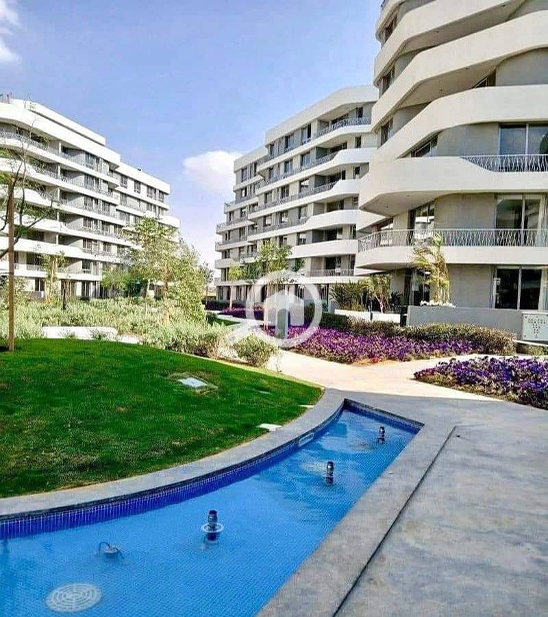 5 32664eee-1886-4432-a4ed-6dd042bf4162. jpg