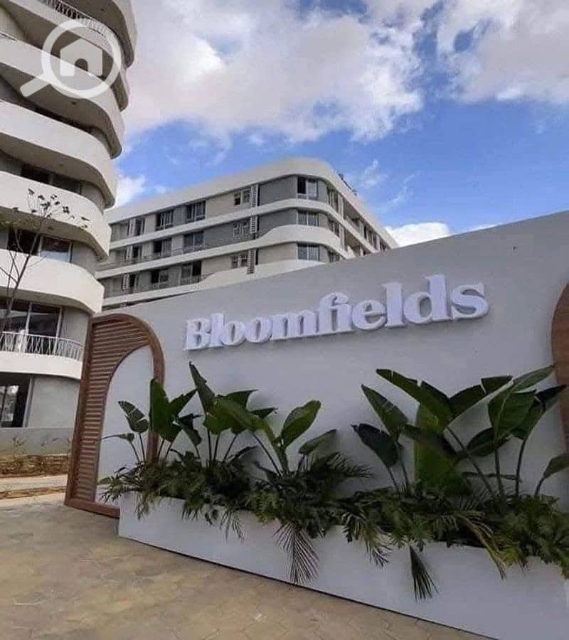 7 afed1ab6-4cad-40cc-b1dd-6dd27a61838e. jpg