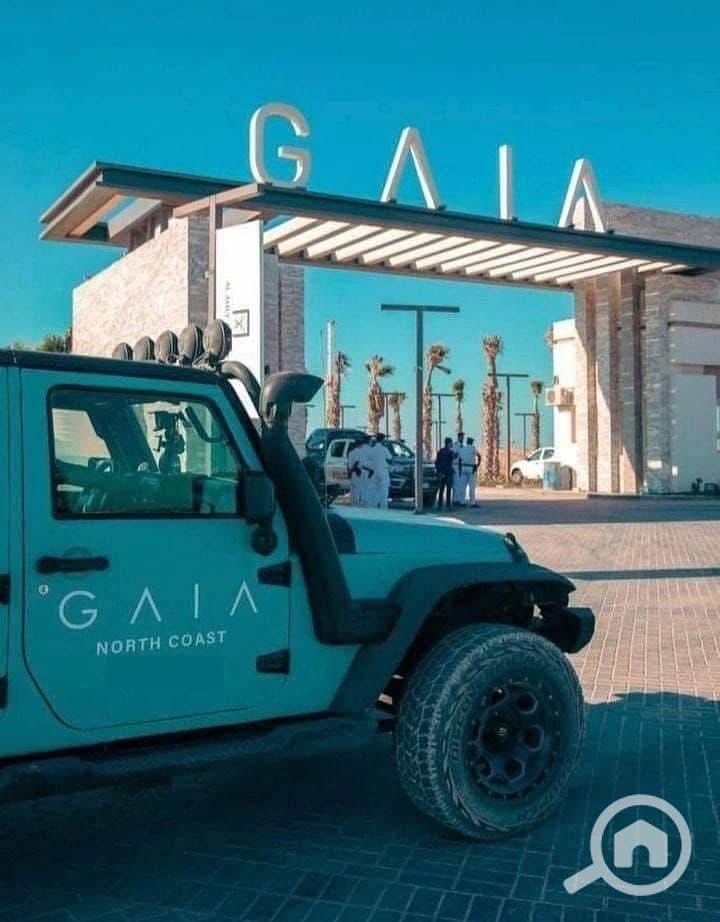 8 WhatsApp Image 2025-09-02 at 5.15. 23 PM (1). jpeg