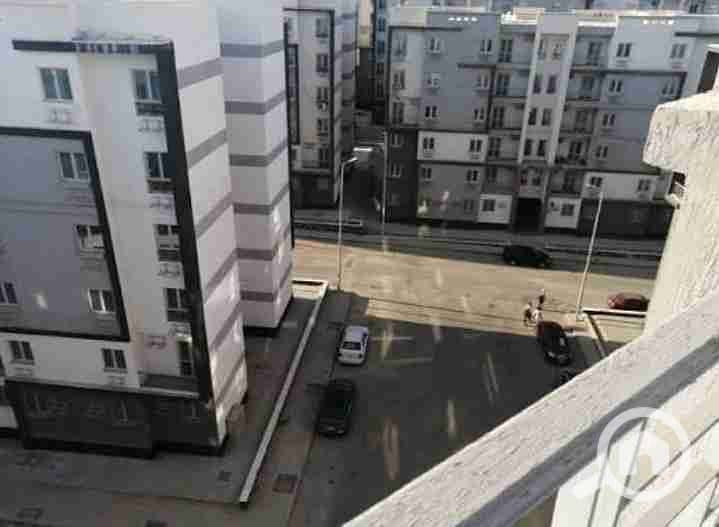 8 IMG_٢٠٢٥١٠٠٨_١٦٢٣٢٣. jpg