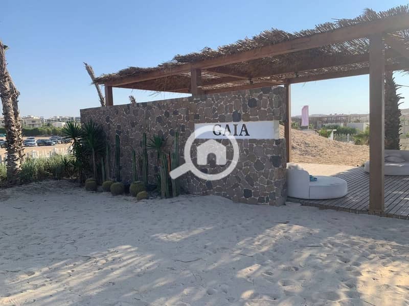 5 WhatsApp Image 2025-09-02 at 5.15. 22 PM. jpeg