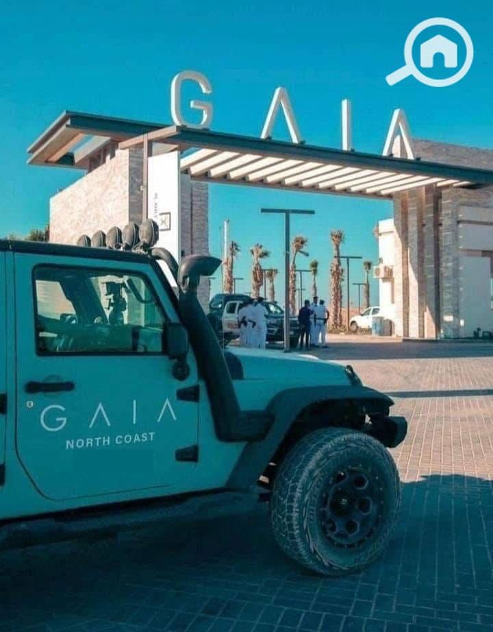 6 WhatsApp Image 2025-09-02 at 5.15. 23 PM (1). jpeg