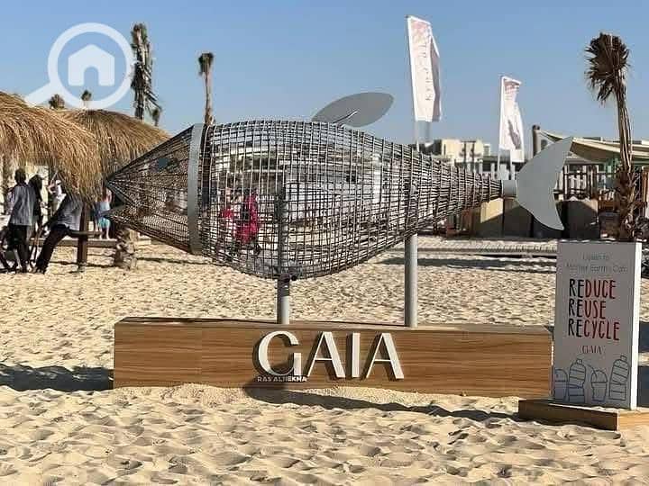 7 WhatsApp Image 2025-09-02 at 5.15. 23 PM. jpeg