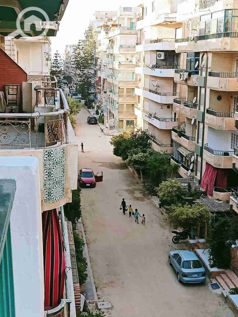 13 1000366367. jpg