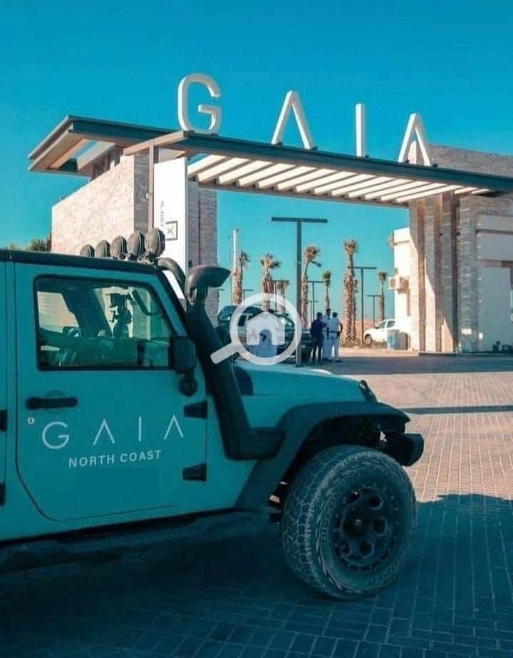 6 WhatsApp Image 2025-09-02 at 5.15. 23 PM (1). jpeg