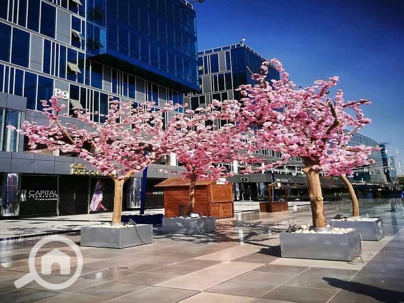 6 WhatsApp Image 2023-02-03 at 9.14. 47 PM. jpeg