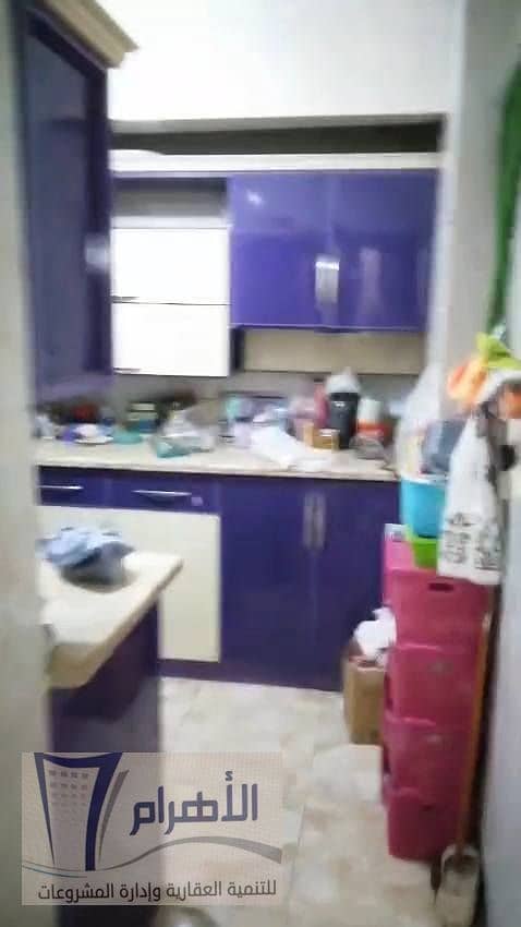 14 559011731_1111527697792097_3474106084329910202_n. jpg