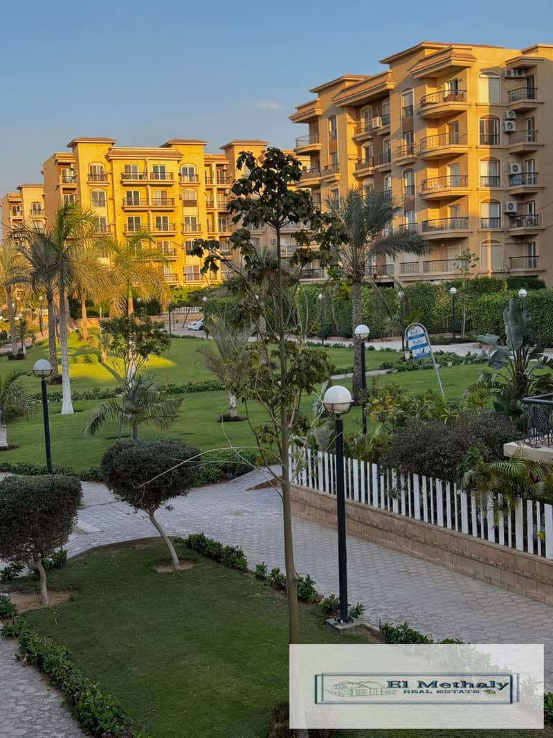 3 834c6556-b77d-4851-97d4-55dec740867f. jpg