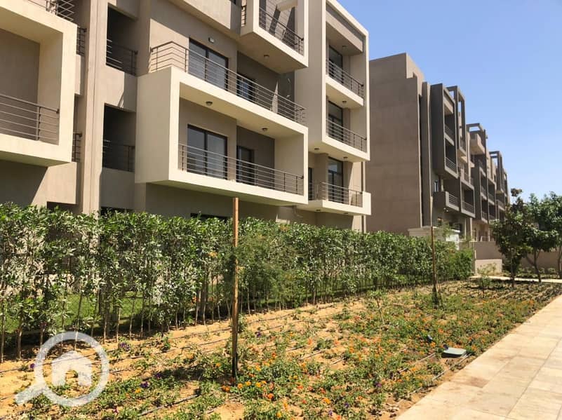 4 21fcc0c9-0a10-451e-98d9-d3a6dfa80198. jpg