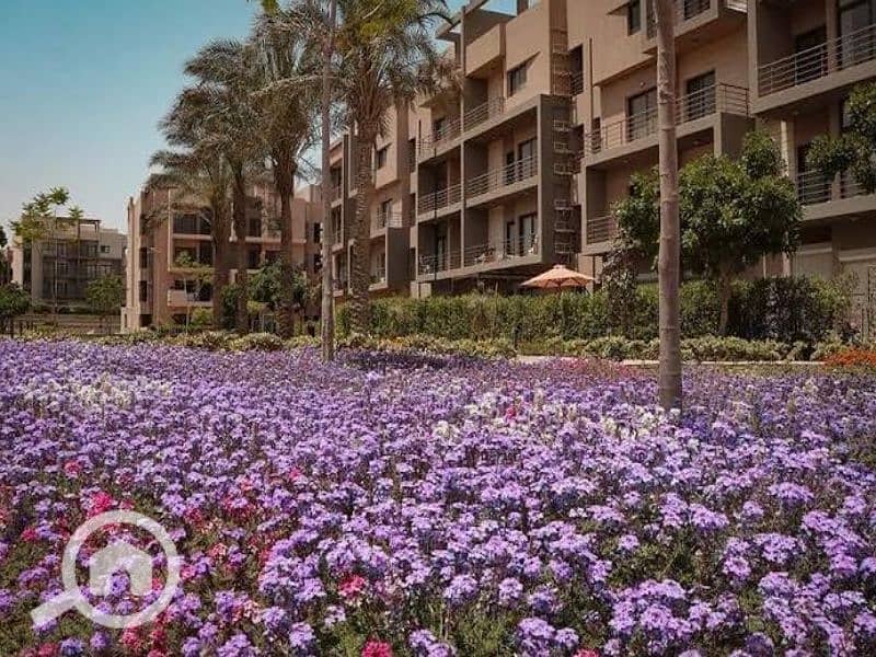 10 b3139ac5-960e-48ff-bff4-ee95b9b45403. jfif. jpg