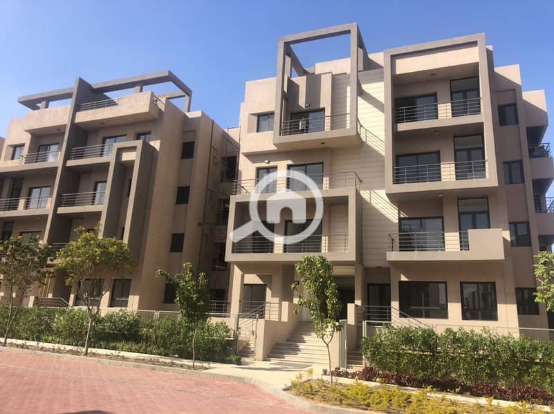 11 c8228122-011c-482f-8ef3-8fc7496909d1. jpg