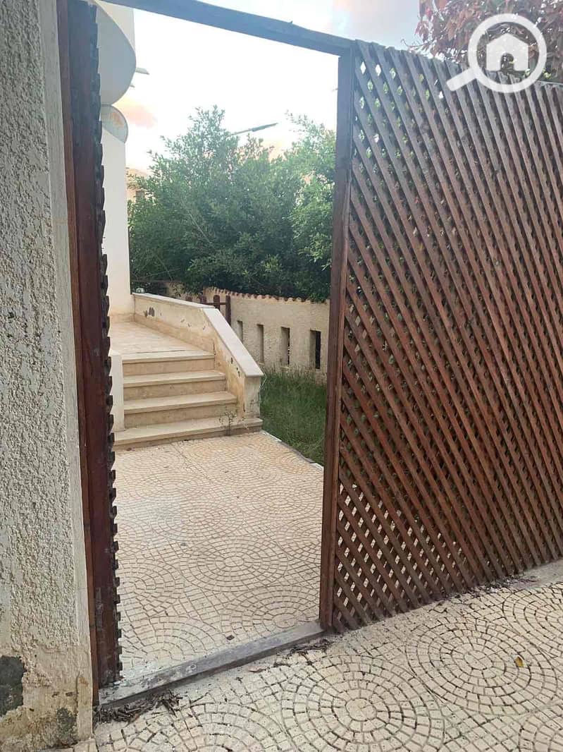 19 60aacfb6-d523-414e-a707-90fced60b7d9. jpg