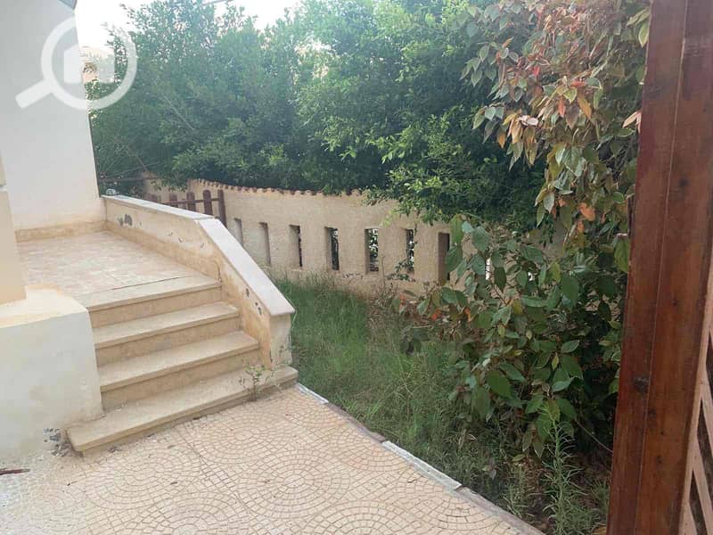 20 8a4ea281-e47d-4fd9-a296-4a5704f6c5b1. jpg