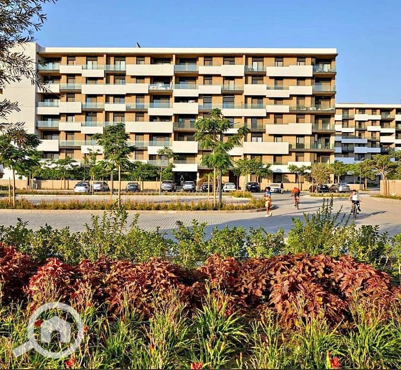 3 409738002_24353316844312975_4322777558454148489_n. jpg