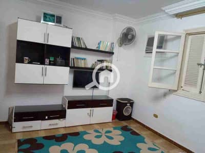 3 Bedroom Flat for Rent in Nasr City, Cairo - 1000247792. jpg