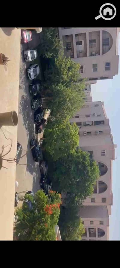 3 Bedroom Apartment for Sale in New Cairo, Cairo - 1001495857. jpg