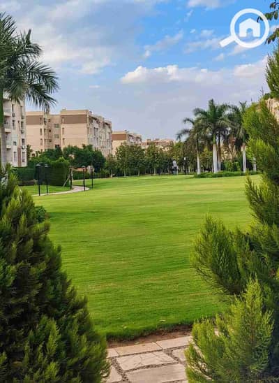 2 Bedroom Apartment for Rent in Madinaty, Cairo - 1000492763. jpg