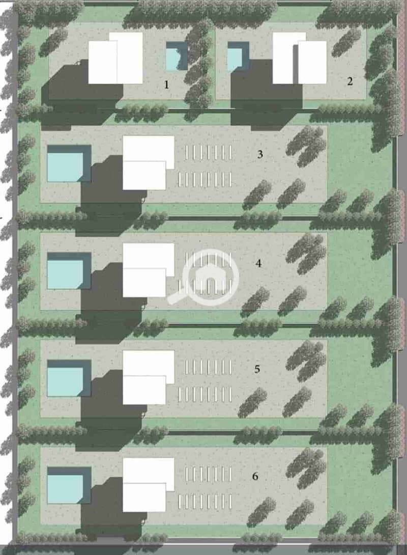 1000483213. jpg