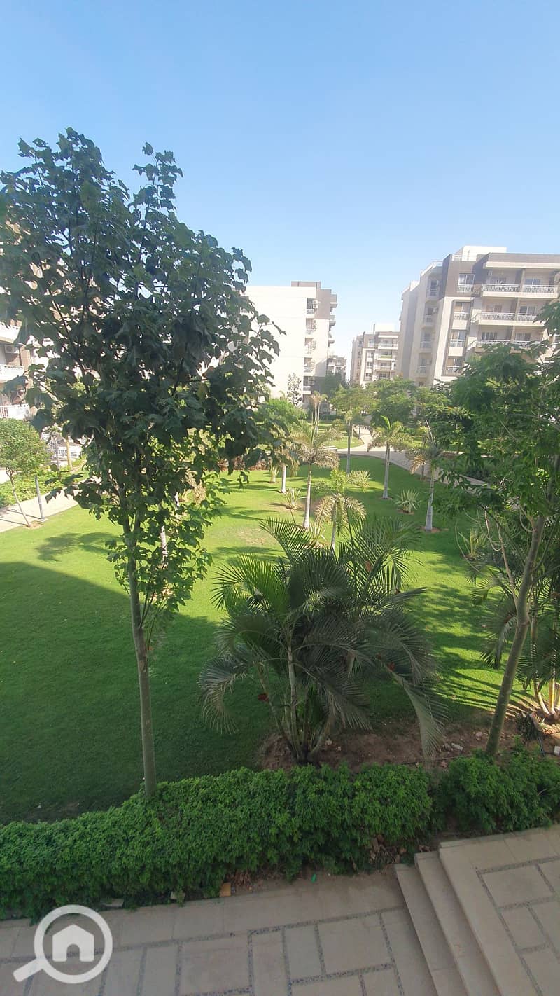 3 ٢٠٢٥٠٨٢٧_١٦٢٠٤١. jpg