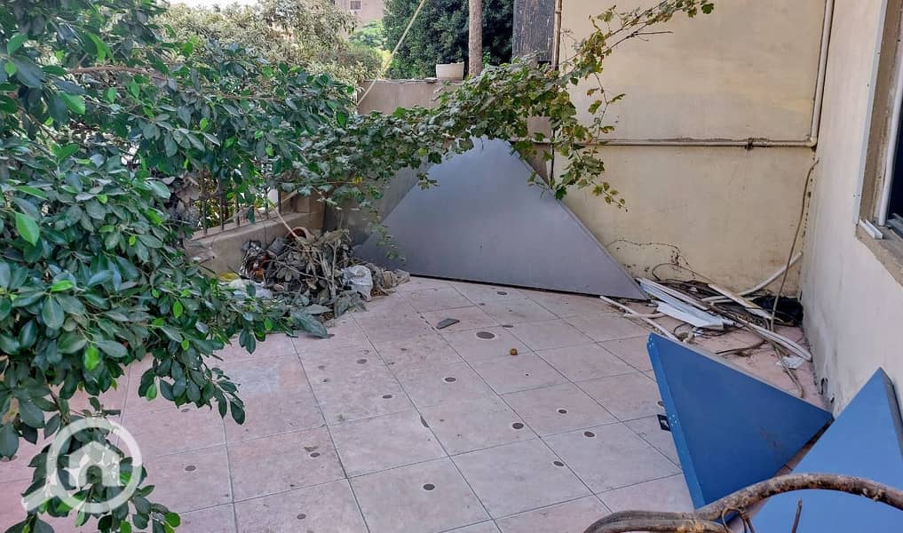 6 photo_2024-11-04_01-26-02. jpg