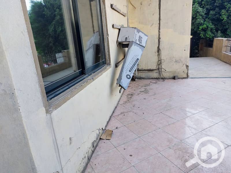 7 photo_2024-11-04_01-25-58. jpg