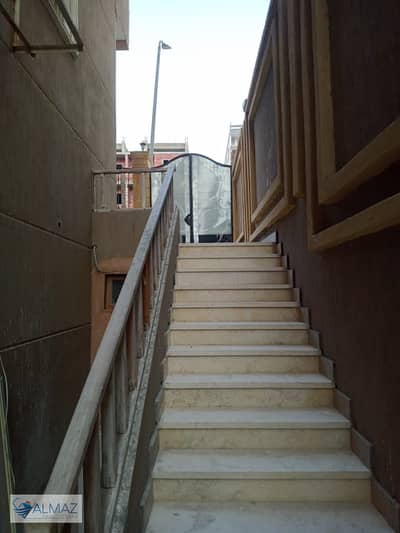 فلیٹ 2 غرفة نوم للايجار في القاهرة الجديدة، القاهرة - IMG-20250908-WA0075. jpg