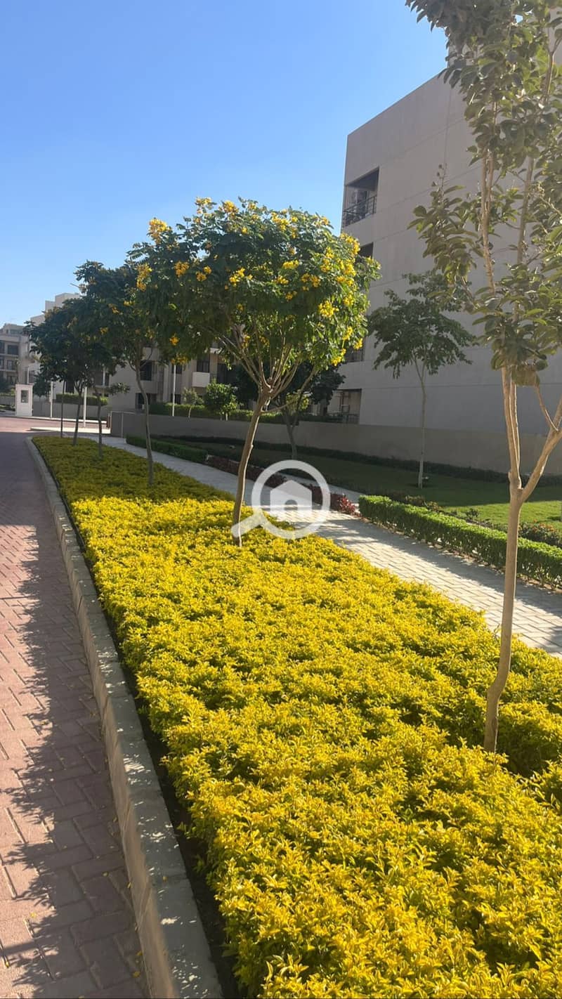 12 WhatsApp Image 2025-07-09 at 4.41. 06 PM (1). jpeg