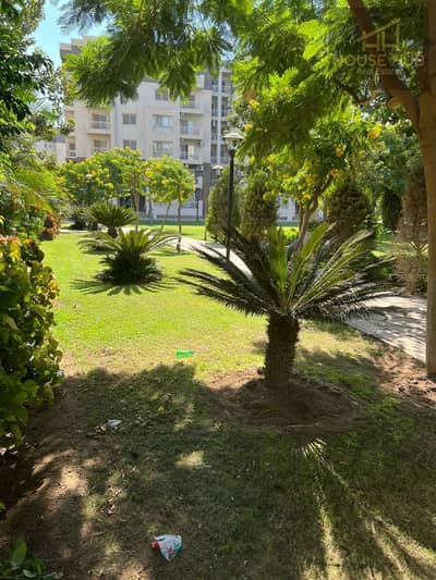 3 Bedroom Flat for Sale in Madinaty, Cairo - IMG-20251007-WA0296. jpg