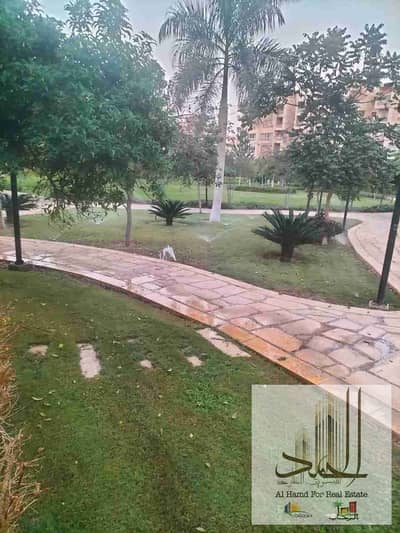 3 Bedroom Flat for Sale in Madinaty, Cairo - 1000423733. jpg