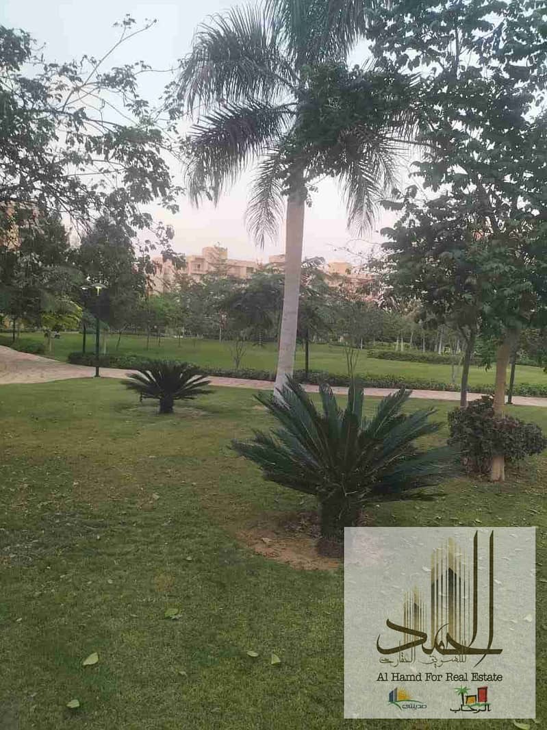 2 1000423730. jpg