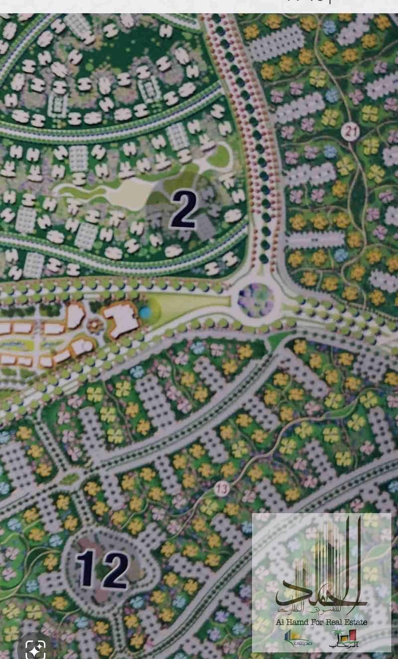 7 1000309326. jpg