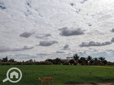 أرض سكنية  للبيع في 6 أكتوبر، الجيزة - WhatsApp Image 2025-10-09 at 11.33. 40 AM (1). jpeg