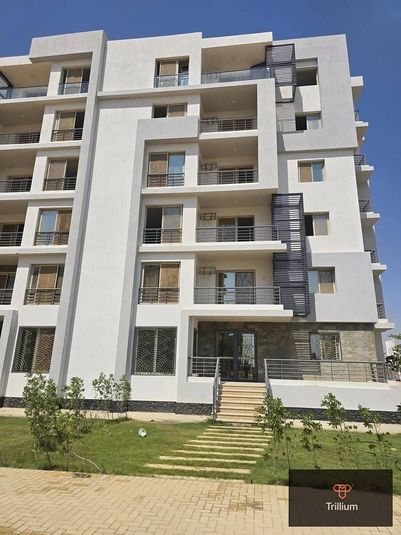 2 WhatsApp Image 2025-10-08 at 11.27. 49_fc2417b5. jpg