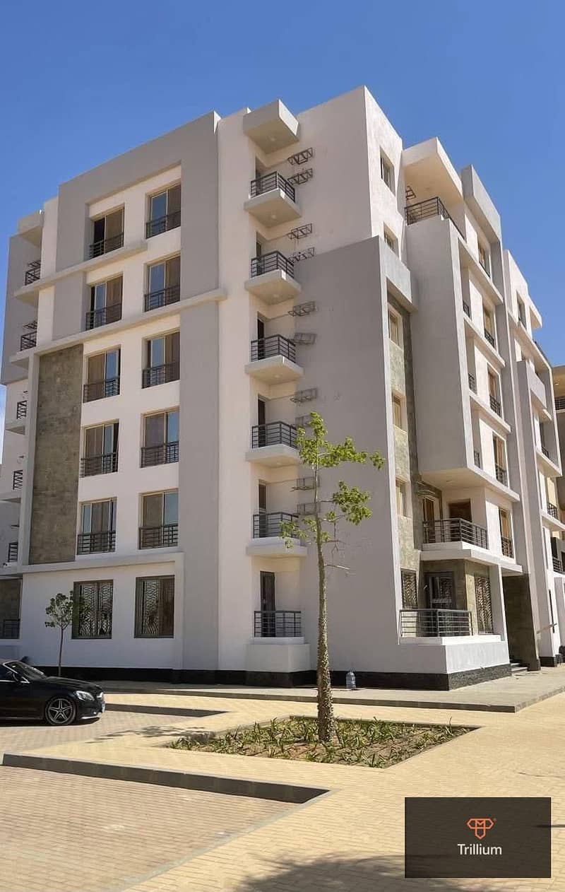 5 WhatsApp Image 2025-10-08 at 11.27. 49_c94fdeda. jpg