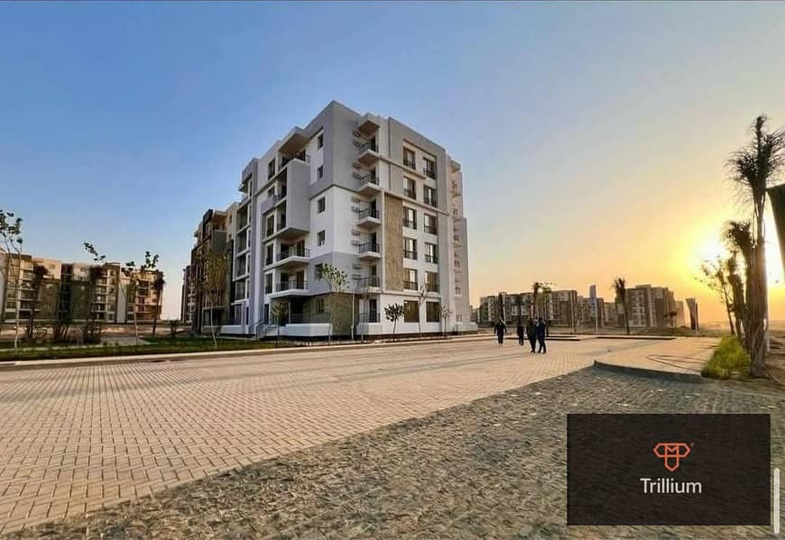 6 497439113_122176184984322209_2611153726887386693_n. jpg