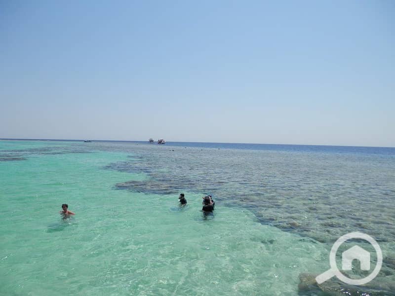 7 egypt-hurghada-soma-bay-beach-reef-orig. jpg