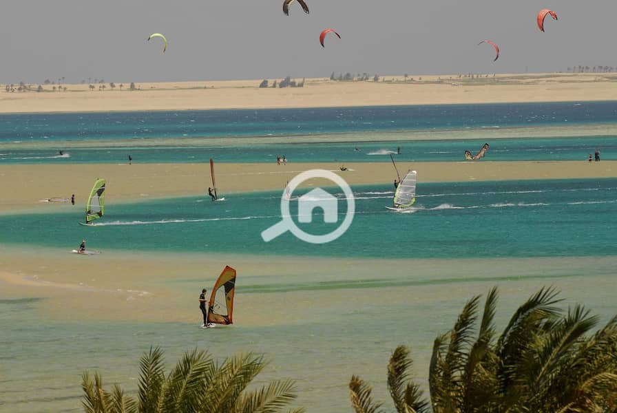 8 egypt-hurghada-soma-bay-beach-surfers-orig. jpg